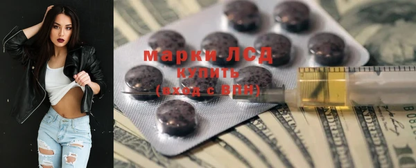 дживик Белокуриха