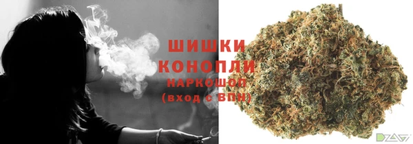 дживик Белокуриха