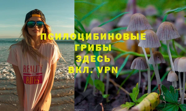 дживик Белокуриха
