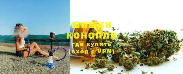 дживик Белокуриха