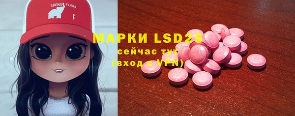 дживик Белокуриха