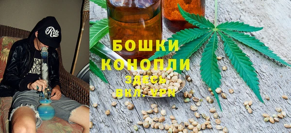 дживик Белокуриха