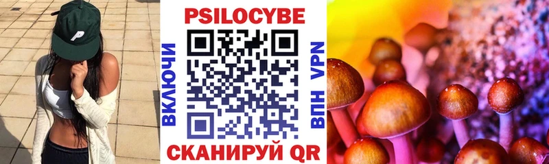 Купить закладки  Сретенск  Псилоцибиновые грибы MAGIC MUSHROOMS 